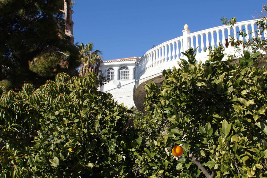 Mediterraner Garten
